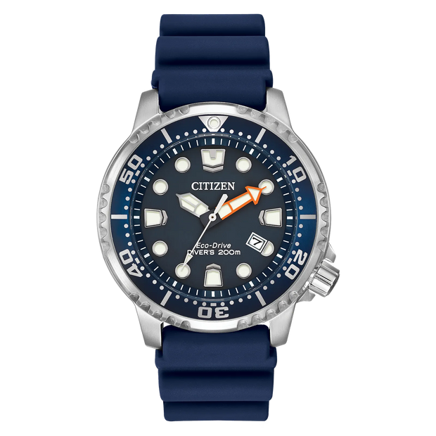 Promaster Dive