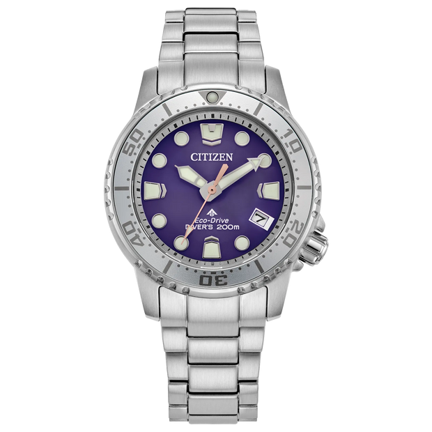 Promaster Dive
