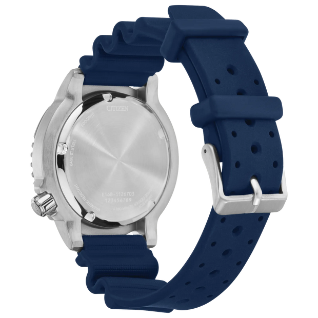Promaster Dive