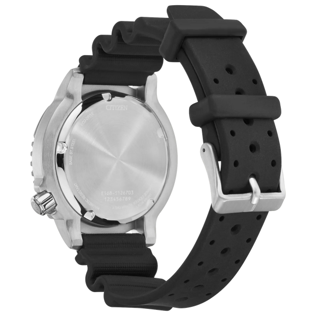 Promaster Dive